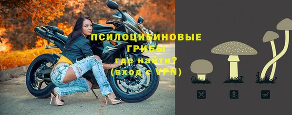 ПСИЛОЦИБИНОВЫЕ ГРИБЫ Осташков