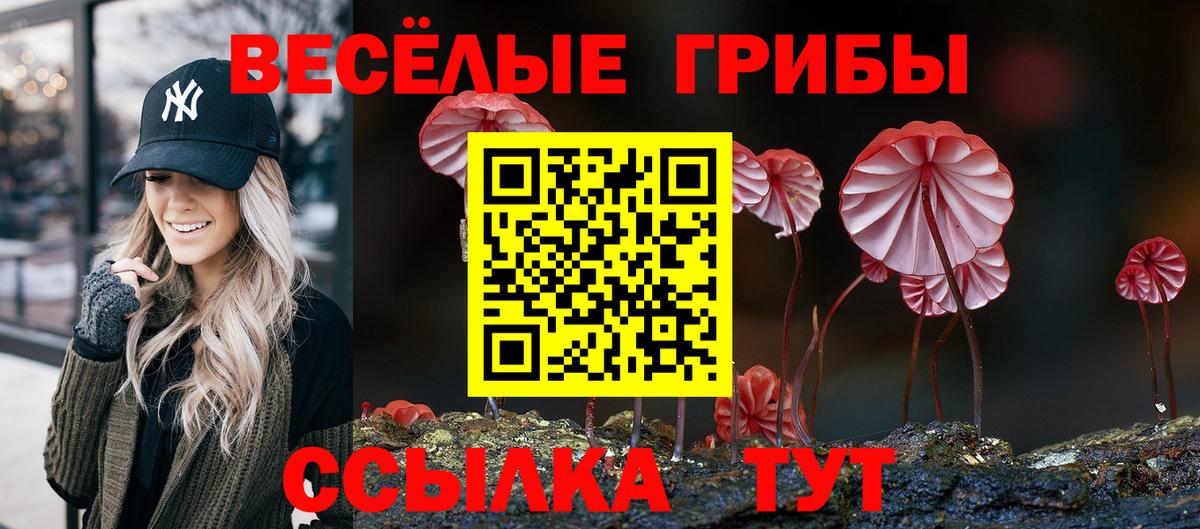 Псилоцибиновые грибы Psilocybe  Вход с VPN  Псилоцибиновые грибы MAGIC MUSHROOMS  Отрадный 
