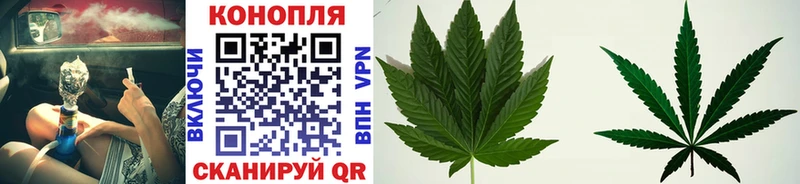mega ССЫЛКА  Отрадный  Бошки Шишки план  где купить  