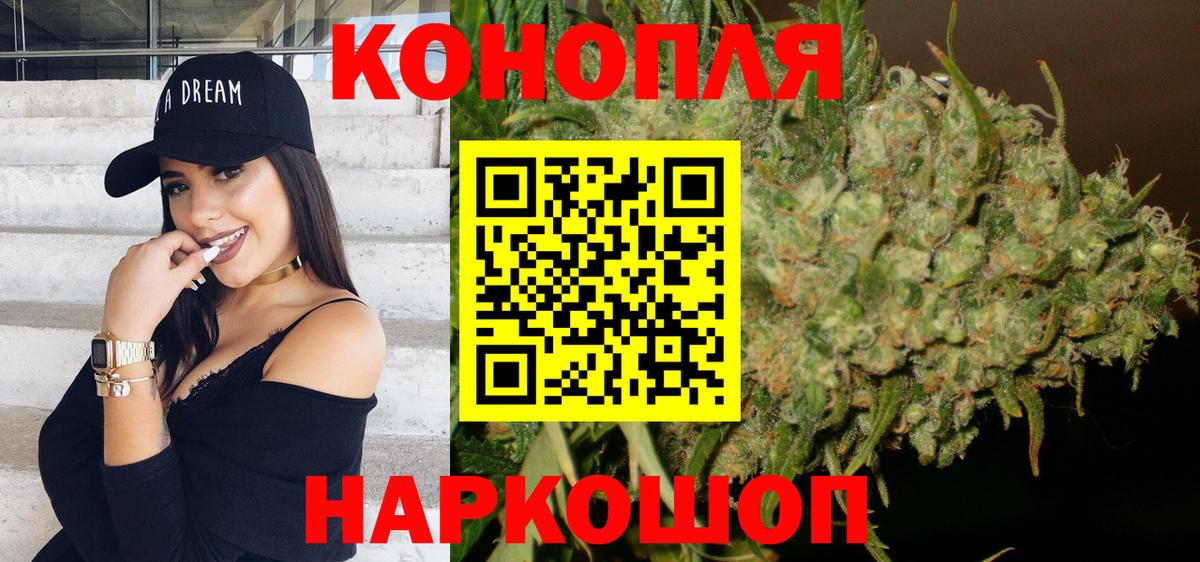 Шишки марихуана семена Отрадный